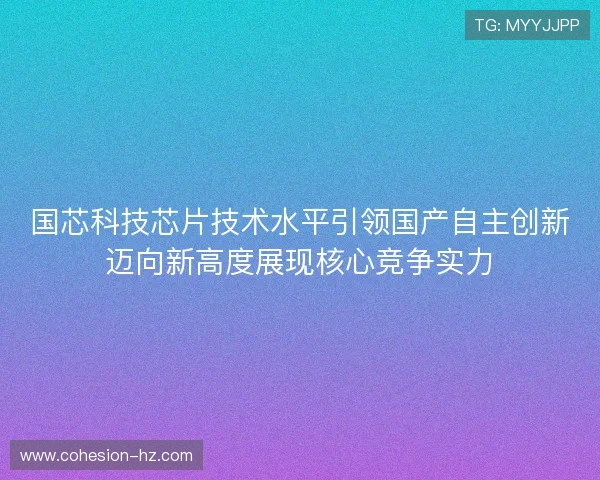 国芯科技芯片技术水平引领国产自主创新迈向新高度展现核心竞争实力